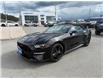 2022 Ford Mustang GT Premium (Stk: 5T074A) in Williams Lake - Image 1 of 13