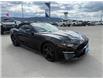 2022 Ford Mustang GT Premium (Stk: 5T074A) in Williams Lake - Image 7 of 13