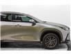 2024 Lexus NX 350 Base (Stk: 051701T) in Brampton - Image 10 of 23