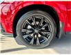2025 Lexus NX 350 Base (Stk: L25823) in Calgary - Image 15 of 15