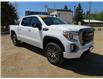 2020 GMC Sierra 1500 AT4 (Stk: TT-021A) in KILLARNEY - Image 1 of 38