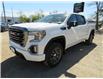 2020 GMC Sierra 1500 AT4 (Stk: TT-021A) in KILLARNEY - Image 38 of 38
