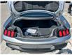 2024 Ford Mustang EcoBoost (Stk: 4G067) in Oakville - Image 12 of 25