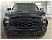 2023 Chevrolet Silverado 1500 Custom Trail Boss (Stk: 42424J) in Belleville - Image 3 of 30