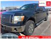 2011 Ford F-150 XLT (Stk: 240635A) in Whitchurch-Stouffville - Image 1 of 7