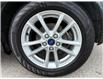 2015 Ford Focus SE (Stk: 41583X) in Whitby - Image 2 of 24