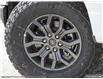 2025 Ford F-150 Tremor (Stk: FH136) in Sault Ste. Marie - Image 8 of 25