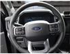 2025 Ford F-150 Lightning Flash (Stk: TS295) in Kamloops - Image 19 of 34