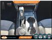 2017 Ford Explorer XLT (Stk: A81529) in Lower Sackville - Image 17 of 24