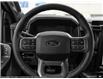 2025 Ford F-150 Lightning Flash (Stk: XLP644) in Sarnia - Image 10 of 23