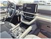 2025 Ford Explorer Active (Stk: S94764) in Hague - Image 13 of 15