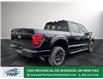 2025 Ford F-150 XLT (Stk: FS82414) in Windsor - Image 9 of 51