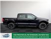 2025 Ford F-150 XLT (Stk: FS82414) in Windsor - Image 13 of 51
