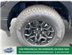 2025 Ford F-150 XLT (Stk: FS82344) in Windsor - Image 4 of 49