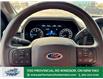 2021 Ford F-150  (Stk: TL49738) in Windsor - Image 32 of 37