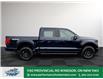 2025 Ford F-150 XLT (Stk: FS45906) in Windsor - Image 9 of 28