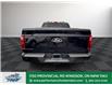 2025 Ford F-150 XLT (Stk: FS29185) in Windsor - Image 6 of 19