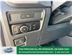 2025 Ford F-150 XLT (Stk: FS34102) in Windsor - Image 25 of 42