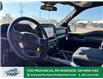 2025 Ford F-150 XLT (Stk: FS34102) in Windsor - Image 29 of 42