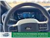2025 Ford F-150 XLT (Stk: FS34102) in Windsor - Image 36 of 42