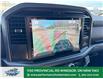2025 Ford F-150 XLT (Stk: FS34102) in Windsor - Image 38 of 42
