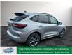 2024 Ford Escape ST-Line (Stk: PR78421) in Windsor - Image 12 of 33