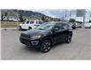 2017 Jeep Compass Trailhawk (Stk: TS043A) in Kamloops - Image 3 of 29