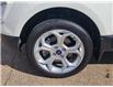 2022 Ford EcoSport SE (Stk: N250397A) in Stony Plain - Image 5 of 48