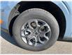 2025 Ford Maverick XLT (Stk: VFVH00846) in Chatham - Image 7 of 19