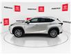 2019 Lexus NX 300 Base (Stk: 11U3907) in Markham - Image 6 of 41