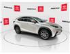 2019 Lexus NX 300 Base (Stk: 11U3907) in Markham - Image 13 of 41