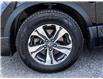 2021 Honda CR-V LX (Stk: 6504A) in Ottawa - Image 19 of 23