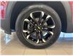 2023 Chevrolet TrailBlazer LT (Stk: U8795A) in Uxbridge - Image 7 of 25