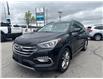 2017 Hyundai Santa Fe Sport 2.0T Ultimate (Stk: S25145A) in Newmarket - Image 3 of 21