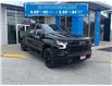 2023 Chevrolet Silverado 1500 RST (Stk: RC01403R) in LaSalle - Image 3 of 28