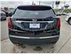 2025 Cadillac XT5 Luxury (Stk: Z141502) in Newmarket - Image 6 of 20
