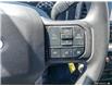 2023 Ford F-150 XLT (Stk: A250268) in Hamilton - Image 14 of 23