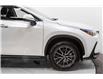 2025 Lexus NX 350 Base (Stk: 087079) in Brampton - Image 12 of 24