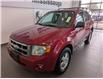2008 Ford Escape XLT (Stk: P5464a) in Mississauga - Image 3 of 17