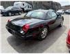 2003 Ford Thunderbird Base (Stk: 14260) in Sudbury - Image 4 of 11