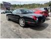 2003 Ford Thunderbird Base (Stk: 14260) in Sudbury - Image 3 of 11