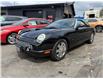 2003 Ford Thunderbird Base (Stk: 14260) in Sudbury - Image 1 of 11
