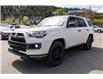2019 Toyota 4Runner SR5 (Stk: 5P233) in Kamloops - Image 5 of 13