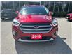 2019 Ford Escape Titanium (Stk: M5769) in Sarnia - Image 2 of 34