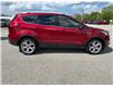 2019 Ford Escape Titanium (Stk: M5769) in Sarnia - Image 4 of 34