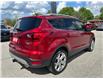 2019 Ford Escape Titanium (Stk: M5769) in Sarnia - Image 5 of 34