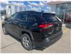 2024 Toyota RAV4 XLE (Stk: CP12435) in Chatham - Image 3 of 9