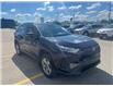 2024 Toyota RAV4 XLE (Stk: CP12435) in Chatham - Image 2 of 9
