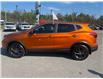 2017 Nissan Qashqai  (Stk: 250209A) in Ottawa - Image 2 of 25