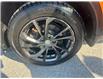 2017 Nissan Qashqai  (Stk: 250209A) in Ottawa - Image 25 of 25